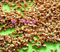 ��(y��u)�|(zh��)���Қ������Қ�(���ͣ������Қ��w��